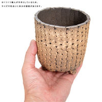 リーフ 鉢 信楽焼 COM WORK STUDIO作 CLLBー9 930587 1個（直送品）