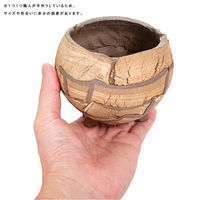 リーフ 鉢 信楽焼 COM WORK STUDIO作 COー3 930589 1個（直送品）