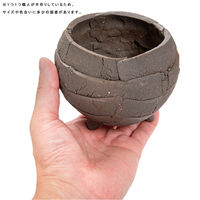 リーフ 鉢 信楽焼 COM WORK STUDIO作 COー9 930590 1個（直送品）