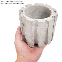 リーフ 鉢 信楽焼 COM WORK STUDIO作 LLSー8 930597 1個（直送品）