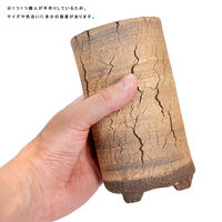 リーフ 鉢 信楽焼 COM WORK STUDIO作 CMTー3 930595 1個（直送品）