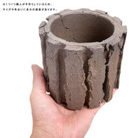 リーフ 鉢 信楽焼 COM WORK STUDIO作 LLBー8 930596 1個（直送品）