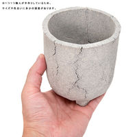 リーフ 鉢 信楽焼 COM WORK STUDIO作 CLLSー1 930600 1個（直送品）