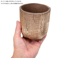 リーフ 鉢 信楽焼 COM WORK STUDIO作 CLLBー12 930601 1個（直送品）