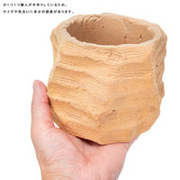 リーフ 鉢 信楽焼 COM WORK STUDIO作 GCー1 930602 1個（直送品）