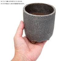 リーフ 鉢 信楽焼 COM WORK STUDIO作 CLLBー8G 930603 1個（直送品）