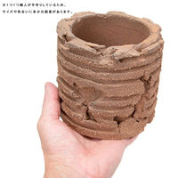 リーフ 鉢 信楽焼 COM WORK STUDIO作 WBLLー1 930606 1個（直送品）