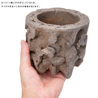 リーフ 鉢 信楽焼 COM WORK STUDIO作 WBLLー3 930608 1個（直送品）