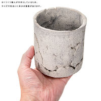 リーフ 鉢 信楽焼 COM WORK STUDIO作 LLSー1 930609 1個（直送品）