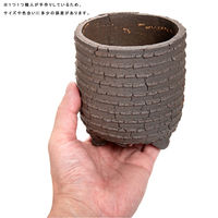 リーフ 鉢 信楽焼 COM WORK STUDIO作 CLLBー14 930613 1個（直送品）