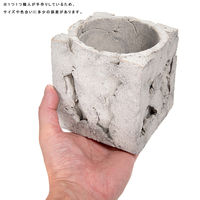 リーフ 鉢 信楽焼 COM WORK STUDIO作 LLSー2 930614 1個（直送品）