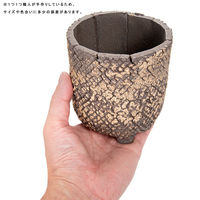 リーフ 鉢 信楽焼 COM WORK STUDIO作 CLLBー15 930615 1個（直送品）