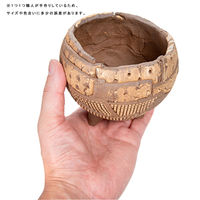 リーフ 鉢 信楽焼 COM WORK STUDIO作 DJー3 930618 1個（直送品）