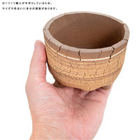 リーフ 鉢 信楽焼 COM WORK STUDIO作 CLBー5 930620 1個（直送品）