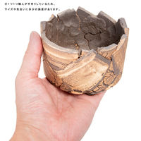 リーフ 鉢 信楽焼 COM WORK STUDIO作 CLKー3 930619 1個（直送品）