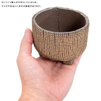 リーフ 鉢 信楽焼 COM WORK STUDIO作 CLBー8 930621 1個（直送品）