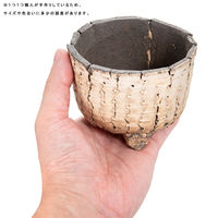 リーフ 鉢 信楽焼 COM WORK STUDIO作 CLBー9 930622 1個（直送品）