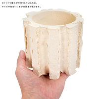 リーフ 鉢 信楽焼 COM WORK STUDIO作 LLWー8 930623 1個（直送品）