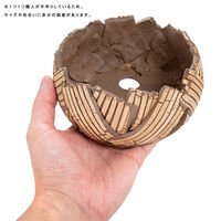 リーフ 鉢 信楽焼 COM WORK STUDIO作 CK4ー1 930624 1個（直送品）