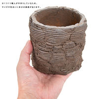 リーフ 鉢 信楽焼 COM WORK STUDIO作 LLBー6 930627 1個（直送品）