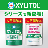 ガム キシリトールガム ライムミント 大容量パウチ 266g 1セット（1個×3）