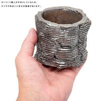 リーフ 鉢 信楽焼 COM WORK STUDIO作 MBー6G 930605 1個（直送品）