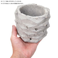 リーフ 鉢 信楽焼 COM WORK STUDIO作 LLSー4 930598 1個（直送品）