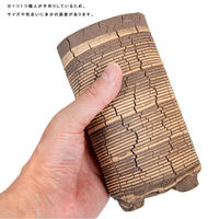 リーフ 鉢 信楽焼 COM WORK STUDIO作 CMTー5 930611 1個（直送品）