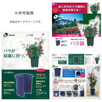 リッチェル 鉢 バラ鉢 ダークグリーン 6号 φ18×18cm 251109 1セット(5個)（直送品）
