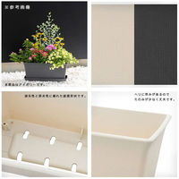 リッチェル プランター ステッチ 42型N プレート付き アイボリー 305622 1個（直送品）