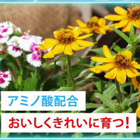 フマキラー カダン感動再生パワー 5L 4902424453560 1袋（直送品）