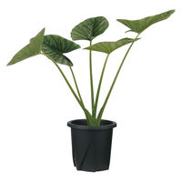 大和プラスチック 根はりポット 15型 4903266731762 1個（直送品）