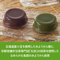 羊羹 カップ 食べきりサイズ お配り菓子 水ようかん ミックス　62g×4個入 1セット（1袋×10）