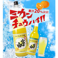 富士白 ミカンチュウハイの素 25度 600ml 瓶 1本 中野BC リキュール チューハイの素