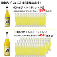 富士白 ミカンチュウハイの素 25度 600ml 瓶 1セット（3本） 中野BC リキュール チューハイの素