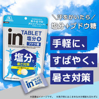 暑さ対策 塩分チャージ inタブレット 塩分プラス 80g 1セット（1個×6）