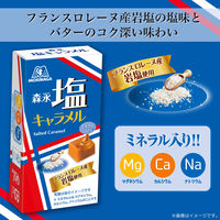 キャラメル 個包装 お配り菓子 塩キャラメル 12粒 1セット（1個×10）