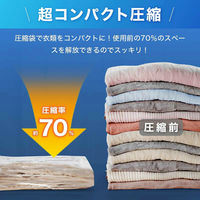 ディーエーピーネットワーク 圧縮袋 旅行用 10枚セット 衣類圧縮 手巻き式 monowa046 1S(10枚)（直送品）