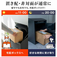 ディーエーピーネットワーク 宅配ボックス 大容量 31L 防水・防塵 ダイヤル錠付き monowa066 1台（直送品）