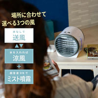 ディーエーピーネットワーク 冷風扇 卓上 ミスト機能 500mlタンク ホワイト wasser fan001 1台（直送品）