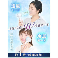 ディーエーピーネットワーク ハンディファン 冷却プレート ー12°C瞬間冷却 ホワイト wasser fan010 1個（直送品）