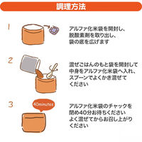 まぜこめっつ 4年保存 チキンライス 2個 非常食 防災食 非常用食品 ご飯 アルファ米 サタケ（直送品）