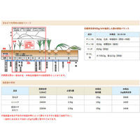 アミノール化学 玉ねぎの一発肥料 65412 1袋(3kg)（直送品）