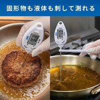 エー・アンド・デイ 防水形大型液晶中心温度計 AD-5629 1台