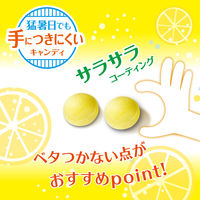 暑さ対策 塩分補給 塩分対策  さっぱり塩飴 塩レモン味 64g 1セット（1個×12）