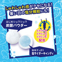 暑さ対策 塩分補給 塩分対策  塩サイダー 66g 1セット（1個×12）