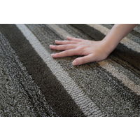 スミノエ 防ダニラグ ブリーズ 1700×2400mm ブラウン 4549781273352 1本（直送品）