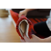 スミノエ 防ダニラグ ブリーズ 1700×2400mm レッド 4549781273556 1本（直送品）