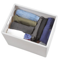 伊藤忠リーテイルリンク 折り畳み収納ボックスホワイト HE003 1個