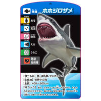 くもん出版 考える生きもの分類カードゲーム TS-10 1個